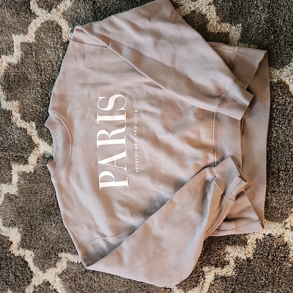 Abercrombie and Fitch Pullover Sweater